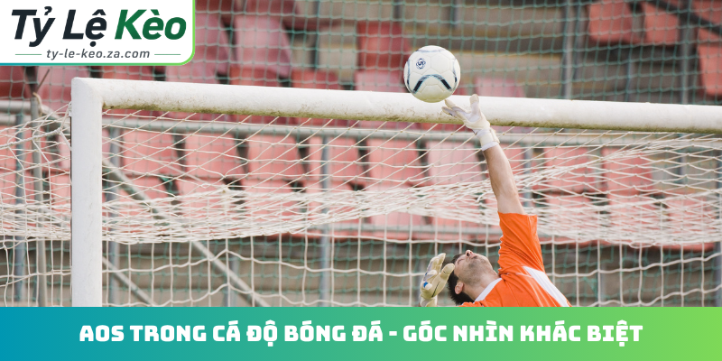 AOS trong cá độ bóng đá