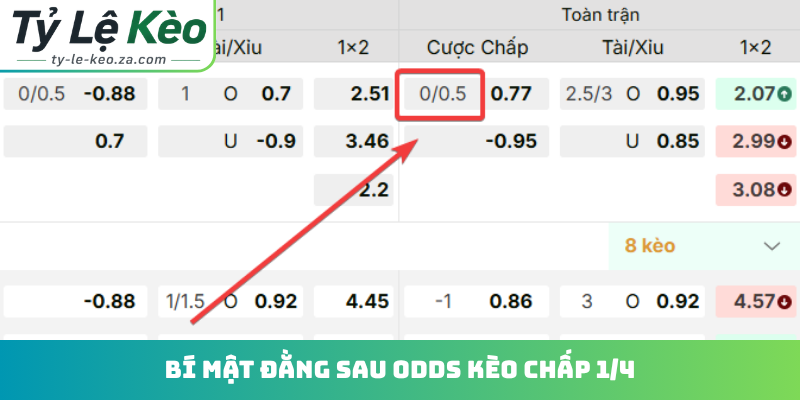 Bí mật đằng sau odds kèo chấp 1/4