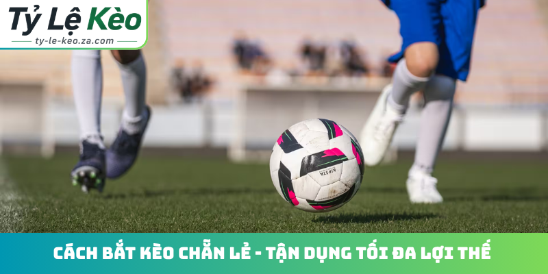 Cách bắt kèo chẵn lẻ