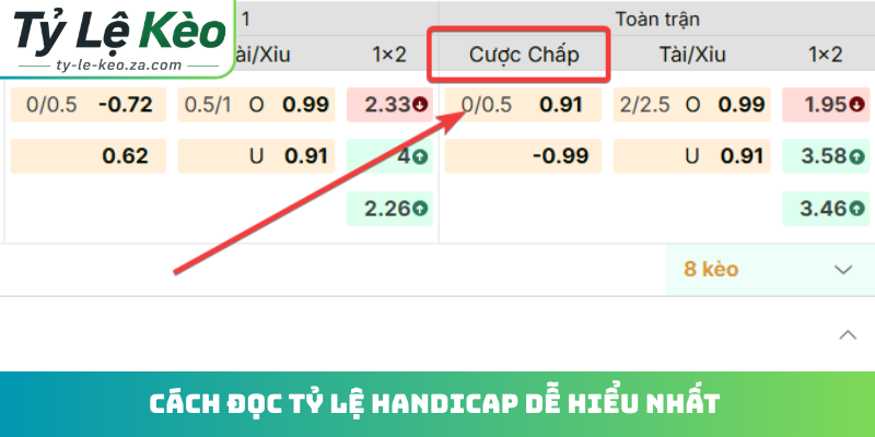 Cách đọc tỷ lệ Handicap dễ hiểu nhất