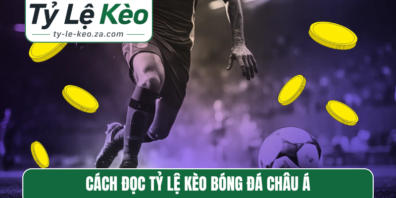 Cách đọc tỷ lệ kèo bóng đá Châu Á