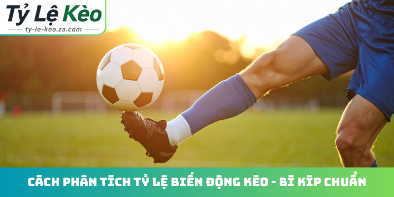 Cách phân tích tỷ lệ biến động kèo