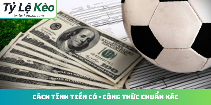 Cách tính tiền cỏ
