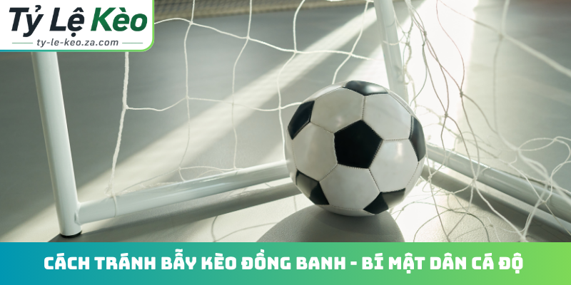 Cách tránh bẫy kèo đồng banh