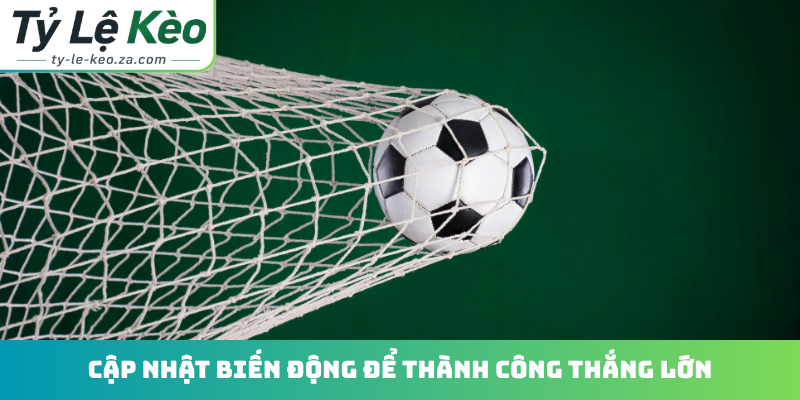 Cập nhật biến động để thành công thắng lớn