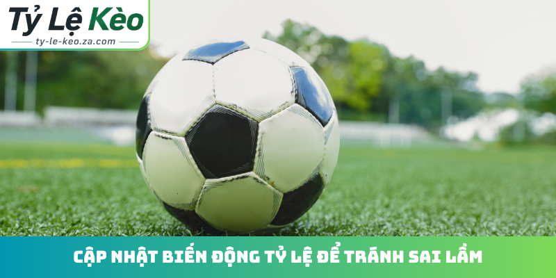 Cập nhật biến động tỷ lệ để tránh sai lầm