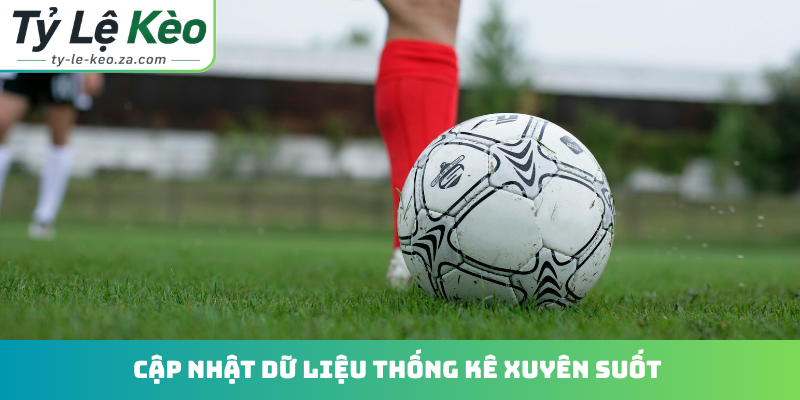 Cập nhật dữ liệu thống kê xuyên suốt