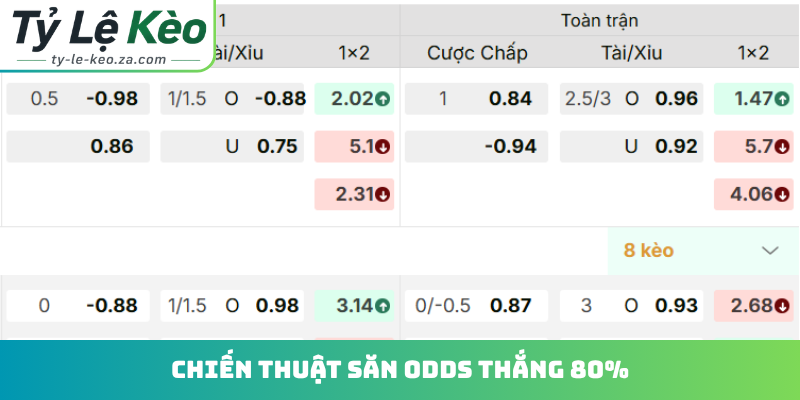 Chiến thuật săn odds thắng 80%