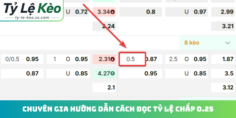 Chuyên gia hướng dẫn cách đọc tỷ lệ chấp 0.25
