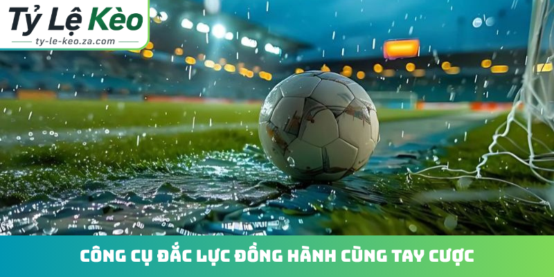 Công cụ đắc lực đồng hành cùng tay cược
