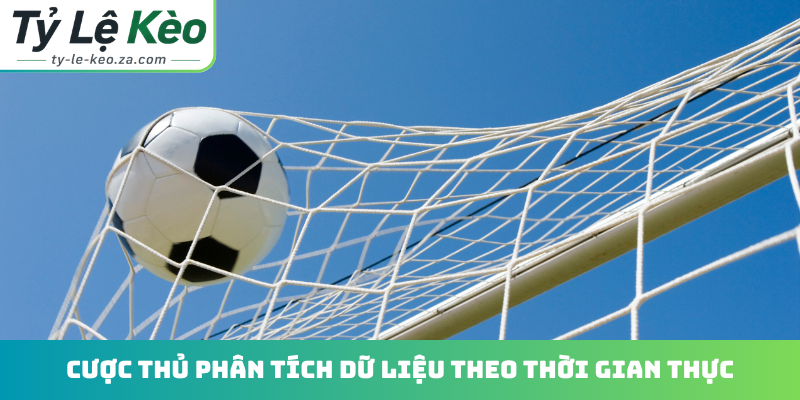 Cược thủ phân tích dữ liệu theo thời gian thực