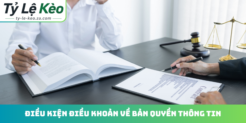 Điều kiện điều khoản về bản quyền thông tin