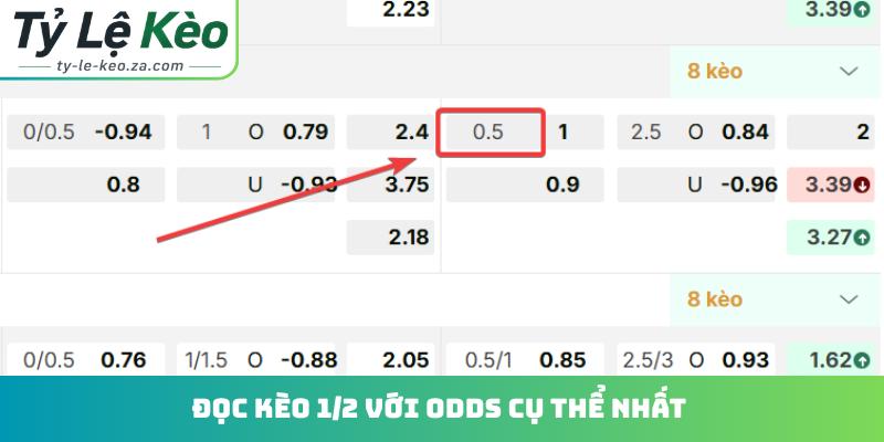 Đọc kèo 1/2 với odds cụ thể nhất
