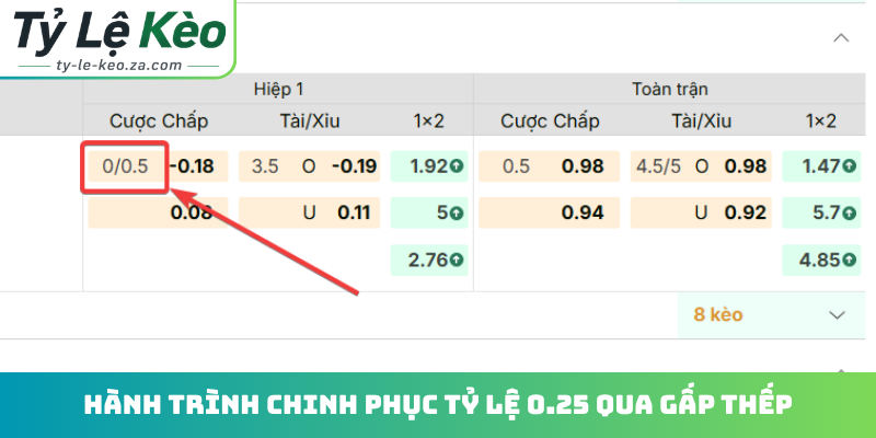 Hành trình chinh phục tỷ lệ 0.25 qua gấp thếp