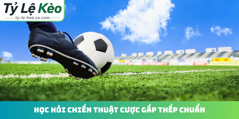 Học hỏi chiến thuật cược gấp thếp chuẩn