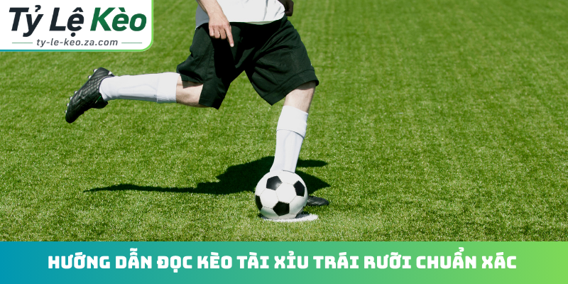 Hướng dẫn đọc kèo tài xỉu trái rưỡi