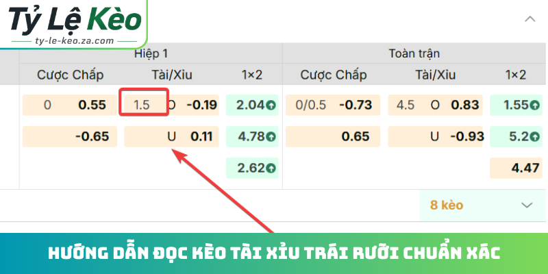 Hướng dẫn đọc kèo tài xỉu trái rưỡi chuẩn xác