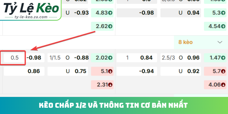 Kèo chấp 1/2 và thông tin cơ bản nhất