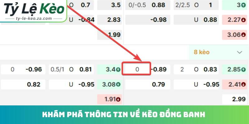 Khám phá thông tin về kèo đồng banh