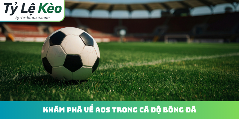 Khám phá về AOS trong cá độ bóng đá