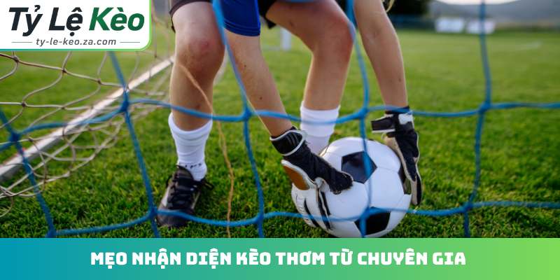 Mẹo nhận diện kèo thơm từ chuyên gia