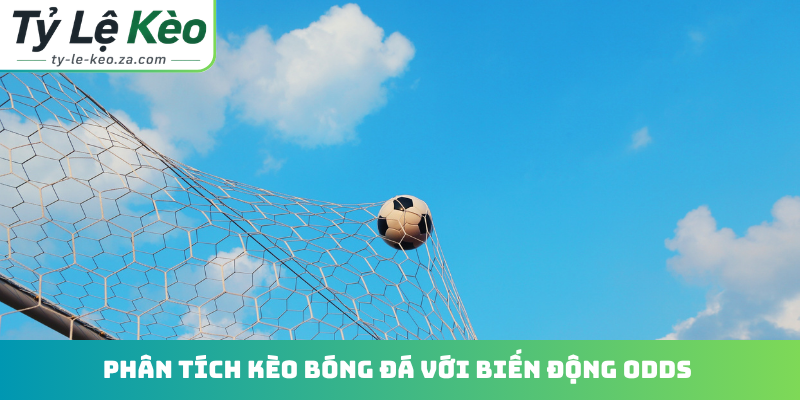 Phân tích kèo bóng đá với biến động odds