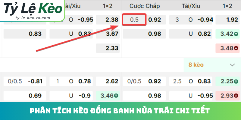 Phân tích kèo đồng banh nửa trái chi tiết