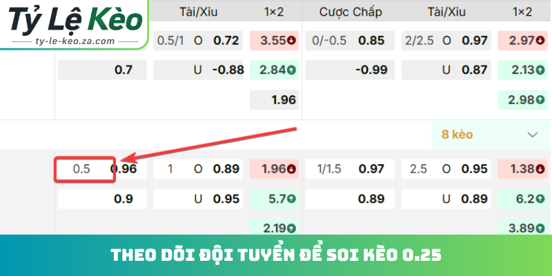 Theo dõi đội tuyển để soi kèo 0.25