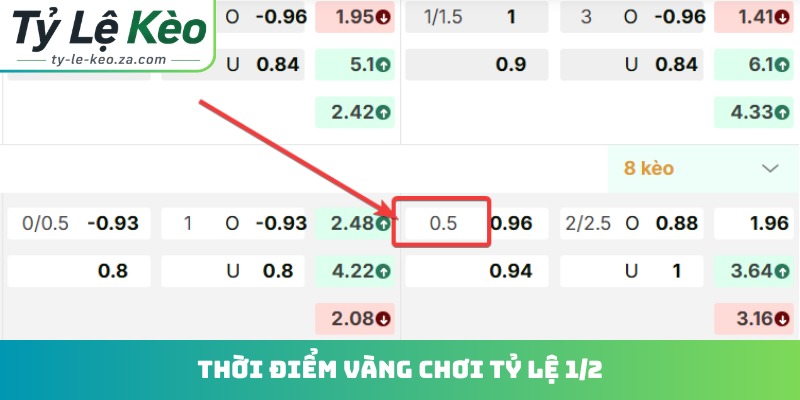 Thời điểm vàng chơi tỷ lệ 1/2