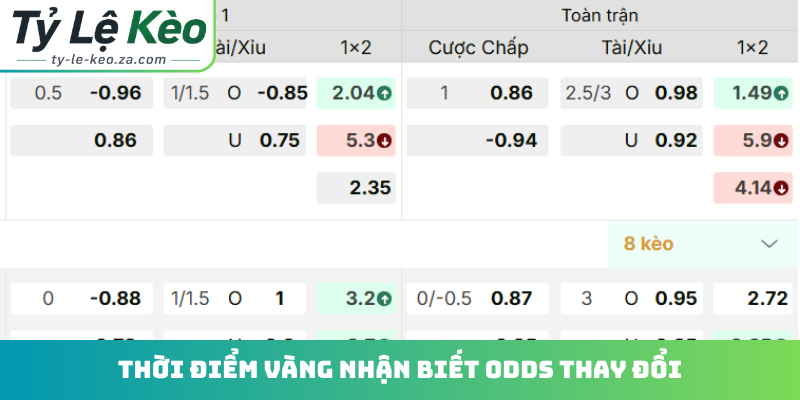 Thời điểm vàng nhận biết odds thay đổi
