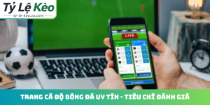 Trang cá độ bóng đá uy tín