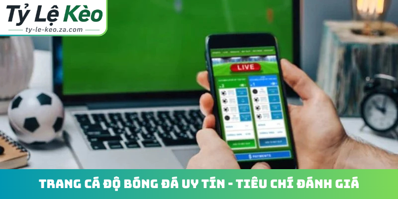 Trang cá độ bóng đá uy tín
