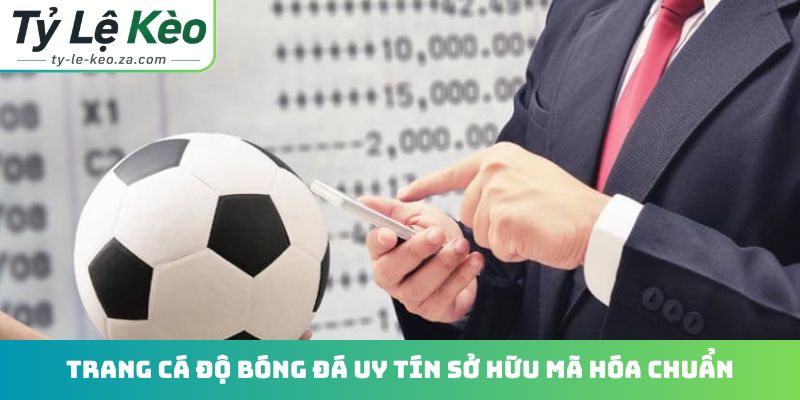 Trang cá độ bóng đá uy tín sở hữu mã hóa chuẩn